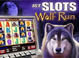 IGT Slot Wolf Run