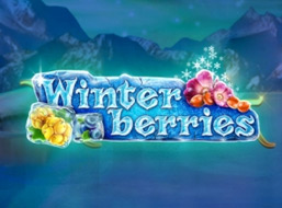 Fantastic Spins Winter Berries